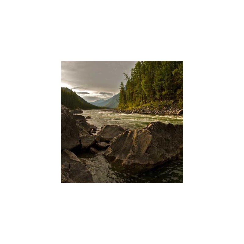 Test Product With Image